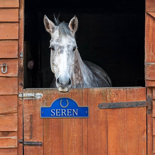 Personalized 3D PLA Horse Door Sign