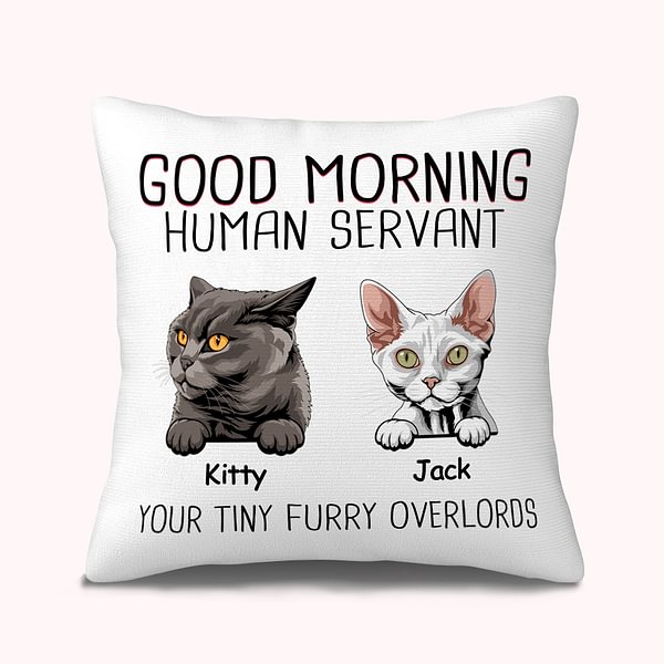 Personalized Good Morning Human Servant Your Tinny Furry Overlords Throw Pillow Cover for Cat Lovers Home Decoration