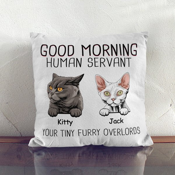 Personalized Good Morning Human Servant Your Tinny Furry Overlords Throw Pillow Cover for Cat Lovers Home Decoration